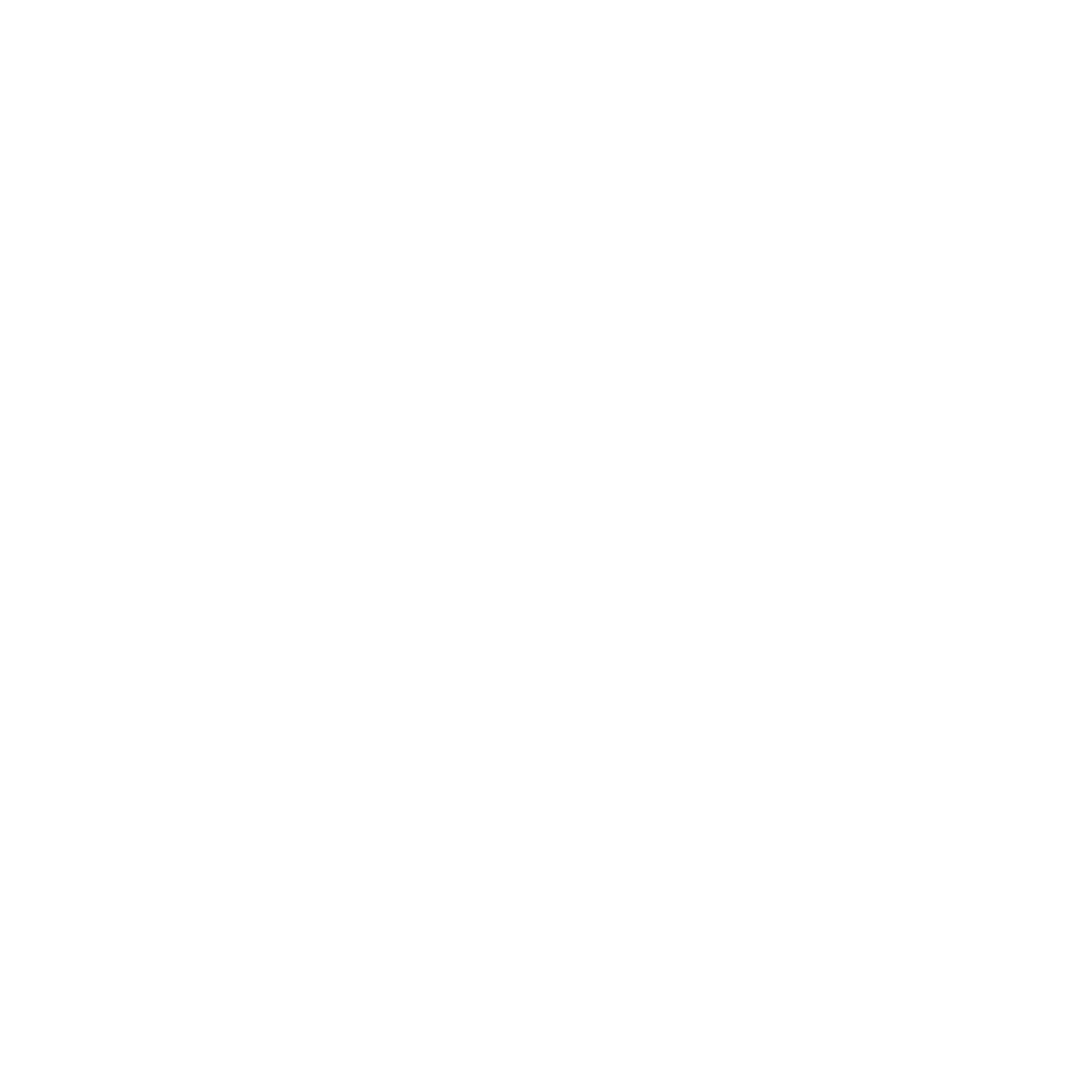 Stabis Management Logo White